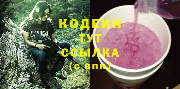 прущие грибы Вяземский
