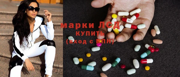 прущие грибы Вяземский