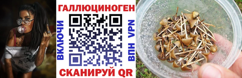 hydra вход  Сургут  Псилоцибиновые грибы Cubensis  даркнет сайт 